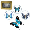 DUZU Puzzle en métal 3D pour adultes - 3 en 1 - Bricolage papillon en métal - Modèle 3D - Puzzle 3D - Kit de construction en 