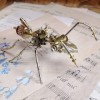 GUANYAN Puzzle 3D en métal - Kit de fourmi mécanique - 190 pièces - Animaux steampunk - Kit de modélisation en métal pour adu