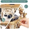 ROKR Puzzle 3D Maquette en Bois a Construire pour Adulte Enfants Maquette Gramophone Classique Kits de Modèles de Bricolage C