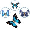 Novaray Puzzle 3D en métal, papillon, plus de 200 pièces Steampunk en métal Montage papillon Morpho Helena, Papilio Ulysses e