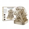 Wooden.City Wooden Mechanical Model Kit to Build - Ferris Wheel - Open Mechanism - Birthday for Teens and Adults - 3D Puzzle 