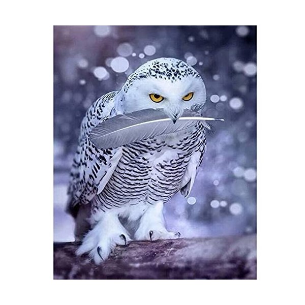 Puzzle Adulte 1000 Pièces Puzzle 3D owl-2000Puzzle 3D AbstraitJeu DIntelligence De lart De La Décoration Moderne Jeu Cadeau