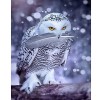 Puzzle Adulte 1000 Pièces Puzzle 3D owl-2000Puzzle 3D AbstraitJeu DIntelligence De lart De La Décoration Moderne Jeu Cadeau