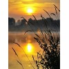 Puzzle 2000 Adulte Sunset,2000 Puzzles en Bois pour Adultes et Enfants Puzzle 3D Décor À La Maison le fini mesure 105 x 75 cm