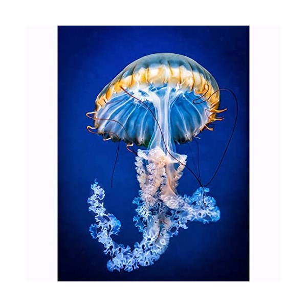 2000 Pièces Puzzle Bois jellyfish,2000 Casse-tête pour Adulte & Enfant Puzzle 3D Décor À La Maison le fini mesure 105 x 75 cm