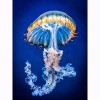 2000 Pièces Puzzle Bois jellyfish,2000 Casse-tête pour Adulte & Enfant Puzzle 3D Décor À La Maison le fini mesure 105 x 75 cm