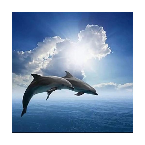 Puzzle Bois Adulte Dolphin,4000 Matériaux Recyclés de Haute Qualité et Impression de Haute Définition Puzzle 3D Décor À La Ma