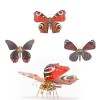 CIAMI Puzzle 3 en 1 3D en métal Motif papillon avec 3 ailes, Kit de construction mécanique Steampunk en métal pour enfants et