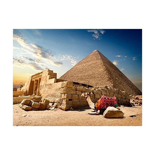 HIGOH 3000 pièces Pyramide Pyramide et Chameau Puzzle en Bois Puzzle Assemblage Jouets Famille Jeu interactif pour Adultes