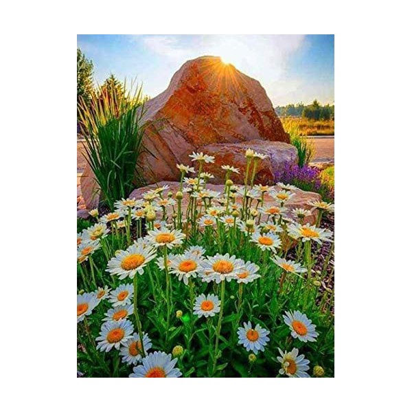 Puzzle 4000 Pièces daisy,4000 3D Puzzle Coloré Idéaux pour Détente, Méditation, Loisirs le fini mesure 147 x 105 cm une fois 