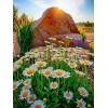 Puzzle 4000 Pièces daisy,4000 3D Puzzle Coloré Idéaux pour Détente, Méditation, Loisirs le fini mesure 147 x 105 cm une fois 