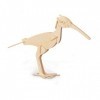 Quay- Curlew Woodcraft Construction Kit FSC, E035, Marron