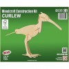 Quay- Curlew Woodcraft Construction Kit FSC, E035, Marron