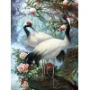 Puzzle 3D 4000 p - animal,4000 Puzzle Difficile et Défi Idéaux pour Détente, Méditation, Loisirs le fini mesure 147 x 105 cm 