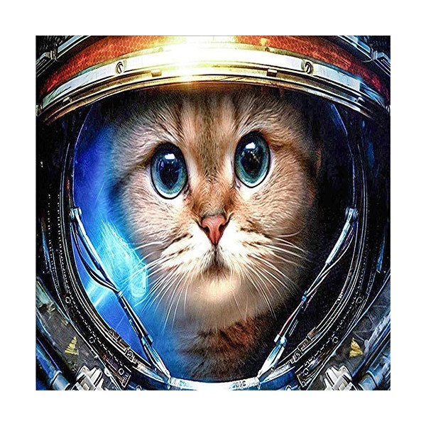 Yingxin34 Puzzle 3000 Pièces Adultes Homme regardant Les étoiles Enfant Puzzle,Puzzle