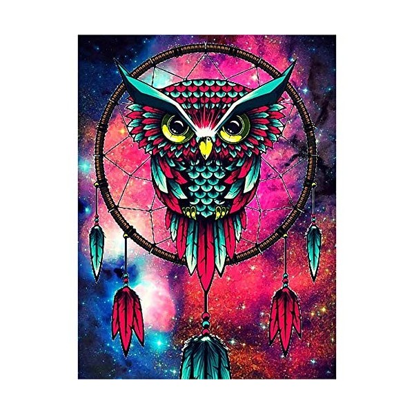 Yingxin34 Puzzle 3000 Pièces Adultes Chouette colorée Enfant Puzzle,Puzzle