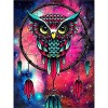 Yingxin34 Puzzle 3000 Pièces Adultes Chouette colorée Enfant Puzzle,Puzzle