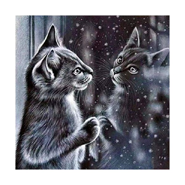 Yingxin34 3000 Pièces Chat regardant dans Le Miroir Jouets pour Adultes Puzzles en Bois