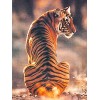 Puzzle Adulte 3000 Pièces Puzzle 3D tigre-3000 Puzzles de Ballon à Air Chaud Convient aux Adolescents Adultes Puzzle Enfant P