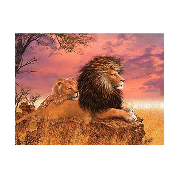 Puzzle Adulte 3000 Pièces Puzzle 3D lion-3000 Puzzles de Ballon à Air Chaud Convient aux Adolescents Adultes Puzzle Enfant Pu