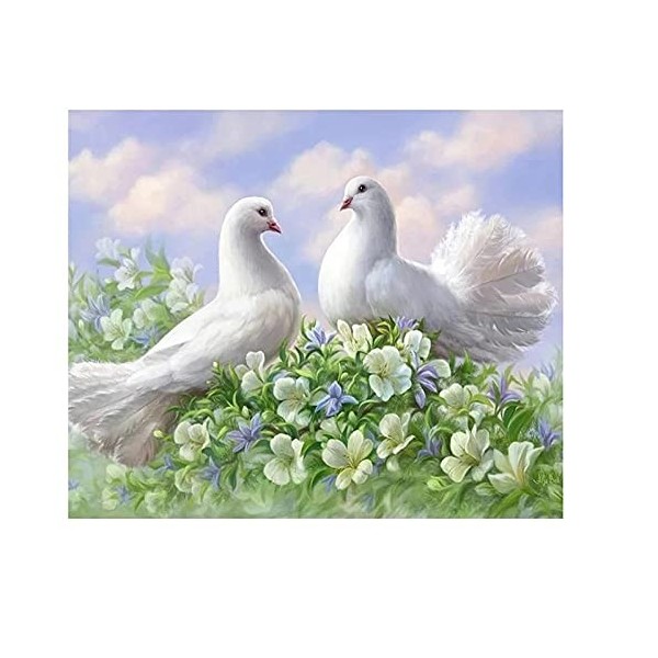 GBPR Puzzle Adulte 3000 Pièces Puzzle 3D Aquarelle Pigeon Puzzles 3000 pièces pour Adultes ou Enfants Relax Puzzles Jeux