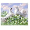 GBPR Puzzle Adulte 3000 Pièces Puzzle 3D Aquarelle Pigeon Puzzles 3000 pièces pour Adultes ou Enfants Relax Puzzles Jeux