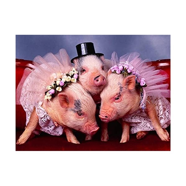 GBPR Puzzle Adulte 3000 Pièces Puzzle 3D Cochon Puzzle Classique Puzzle Adulte et Enfant Jeu de Pose coloré Jeu dadresse pou