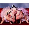 GBPR Puzzle Adulte 3000 Pièces Puzzle 3D Cochon Puzzle Classique Puzzle Adulte et Enfant Jeu de Pose coloré Jeu dadresse pou