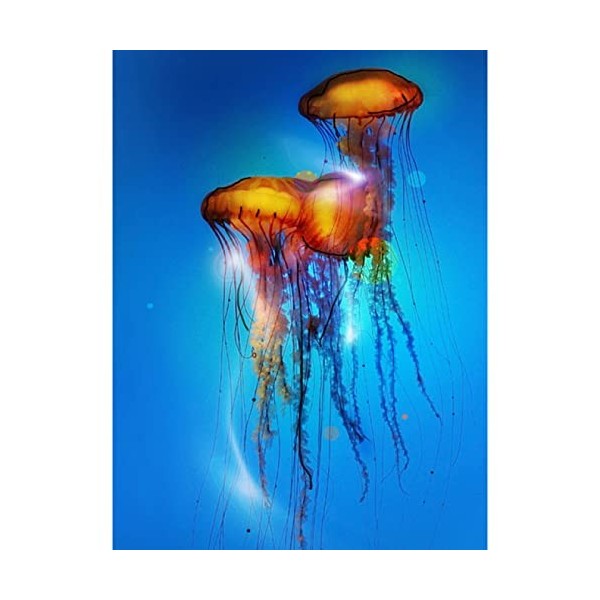 4000 Pièces Puzzle Bois jellyfish,4000 3D Puzzle Coloré Idéaux pour Détente, Méditation, Loisirs le fini mesure 147 x 105 cm 