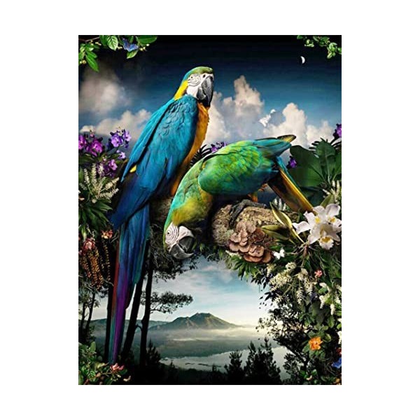 Puzzle Bois Adulte Parrot,5000 Matériaux Recyclés de Haute Qualité et Impression de Haute Définition Puzzle 3D Décor À La Mai