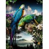 Puzzle Bois Adulte Parrot,5000 Matériaux Recyclés de Haute Qualité et Impression de Haute Définition Puzzle 3D Décor À La Mai