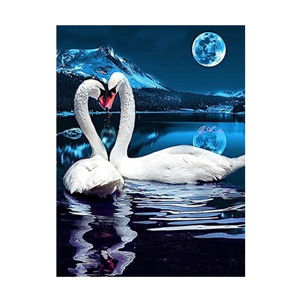 Puzzle Bois Adulte swan,5000 Matériaux Recyclés de Haute Qualité et Impression de Haute Définition Puzzle 3D Décor À La Maiso