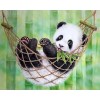 Puzzle Bois Adulte Panda,5000 Matériaux Recyclés de Haute Qualité et Impression de Haute Définition Puzzle 3D Décor À La Mais