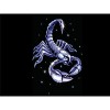 Puzzle 3D 4000 p - Scorpion,4000 Puzzle pour Les Adultes et Les Adolescents Famille Jeu Jouer Collection décor Jouets le fini