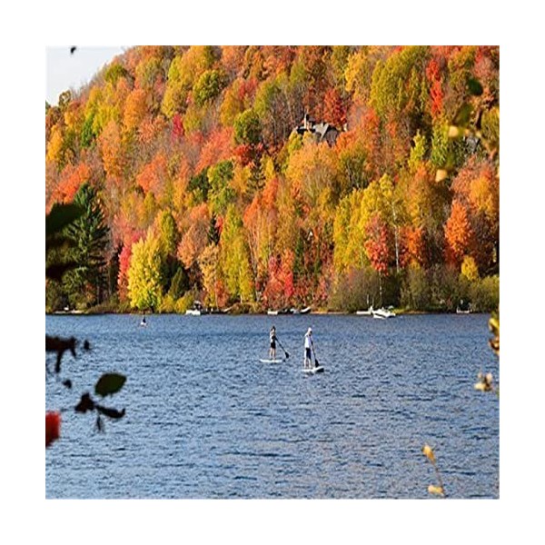 Puzzles en Bois pour Adultes - Puzzles Uniques Personnalisés - Beau Puzzle de Parc et Décoration Murale - Cadeau pour Amoureu