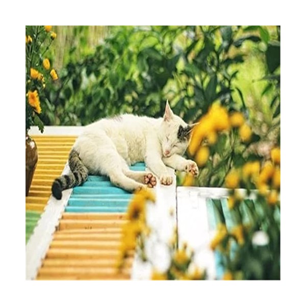 Puzzles en Bois pour Adultes - Puzzles Uniques Personnalisés - Joli Chat Jigsaw Puzzle & Décoration Murale - Cadeau pour Amou