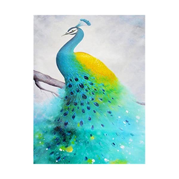 Puzzle 1000 pièces MulticolorePeacock-3000Puzzle 3D Abstrait Artisanat Cadeau Famille Puzzle Classique 3D Puzzle Jouet en Boi