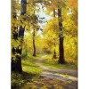 Puzzle 1000 Pièces Adulte Puzzle en Bois Forest Path-3000 puzzle pour adultes Artisanat Cadeau Famille Puzzle Classique 3D Pu