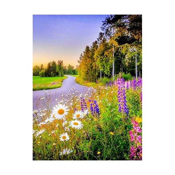 5000 Pièces Puzzle en Bois DIY daisy,5000 3D Puzzle Coloré Meilleur Cadeau pour Adultes et Enfants le fini mesure 181 x 105 c