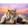 Puzzles en Bois pour Adultes et Enfants Tiger,5000 3D Puzzle Coloré Meilleur Cadeau pour Adultes et Enfants le fini mesure 18