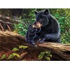 5000 Pièces Puzzle Bois animal,5000 3D Puzzle Coloré Meilleur Cadeau pour Adultes et Enfants le fini mesure 181 x 105 cm une 