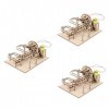 Totority 3 Ensembles Puzzle en Trois Dimensions Modèle Dartisanat en Bois Puzzles pour Adultes Kit De Bricolage pour Voiture