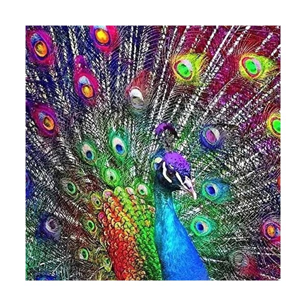 Puzzle 1000 Pièces Adulte Puzzle en Bois Peacock-30003D Puzzle Coloré Artisanat Cadeau Famille Puzzle Classique 3D Puzzle Jou