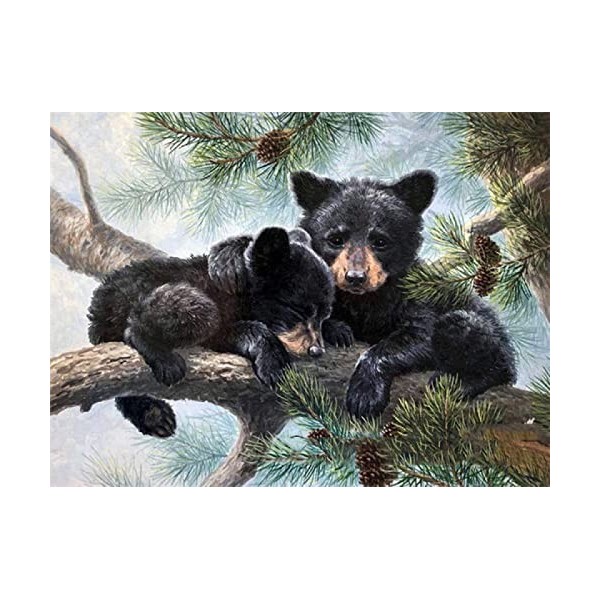 Puzzle 3D 5000 p - animal,5000 Casse-tête pour Adulte & Enfant Ensembles de Puzzle de Défi Cérébral le fini mesure 181 x 105 