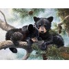 Puzzle 3D 5000 p - animal,5000 Casse-tête pour Adulte & Enfant Ensembles de Puzzle de Défi Cérébral le fini mesure 181 x 105 