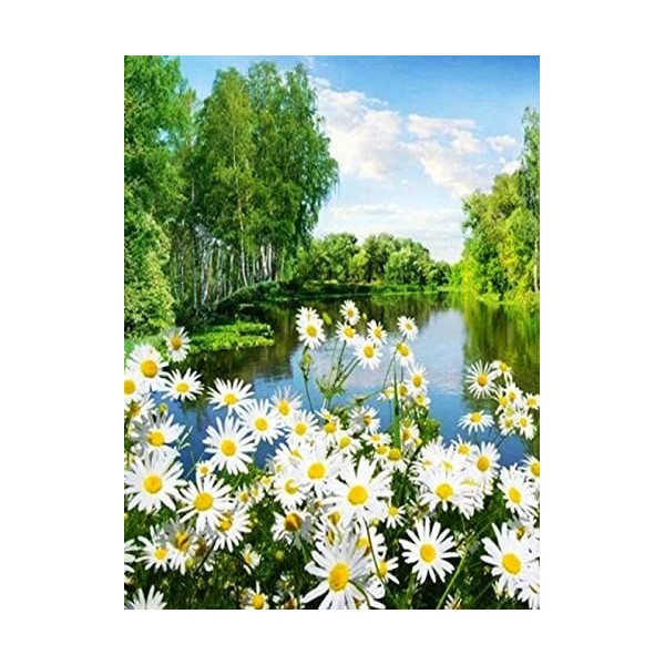 Puzzle 5000 pièces Adultes Puzzles daisy,5000 Puzzle 3D Abstrait Soulagement du Stress pour Adultes Enfants le fini mesure 18