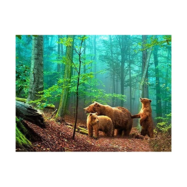 Puzzles en Bois pour Adultes et Enfants Bear,5000 Puzzle 3D Abstrait Soulagement du Stress pour Adultes Enfants le fini mesur