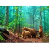 Puzzles en Bois pour Adultes et Enfants Bear,5000 Puzzle 3D Abstrait Soulagement du Stress pour Adultes Enfants le fini mesur