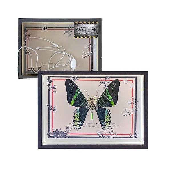 JOENI Papilio Rumanzovia Décoration papillon en métal 3D DIY Kit de modèle de papillon mécanique avec cadre rechargeable, puz