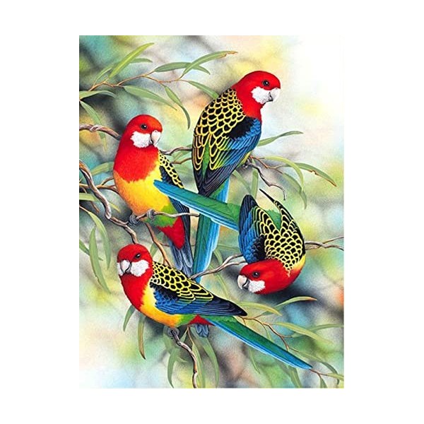 5000 Pièces Puzzle en Bois DIY bird,5000 3D Puzzle Coloré Meilleur Cadeau pour Adultes et Enfants le fini mesure 181 x 105 cm